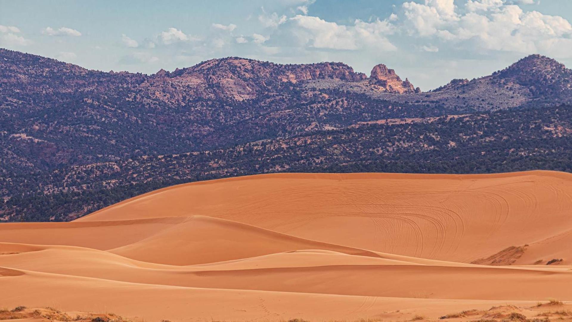 Luxury Pet Friendly Holiday Home La Estancia Kanab Exterior foto